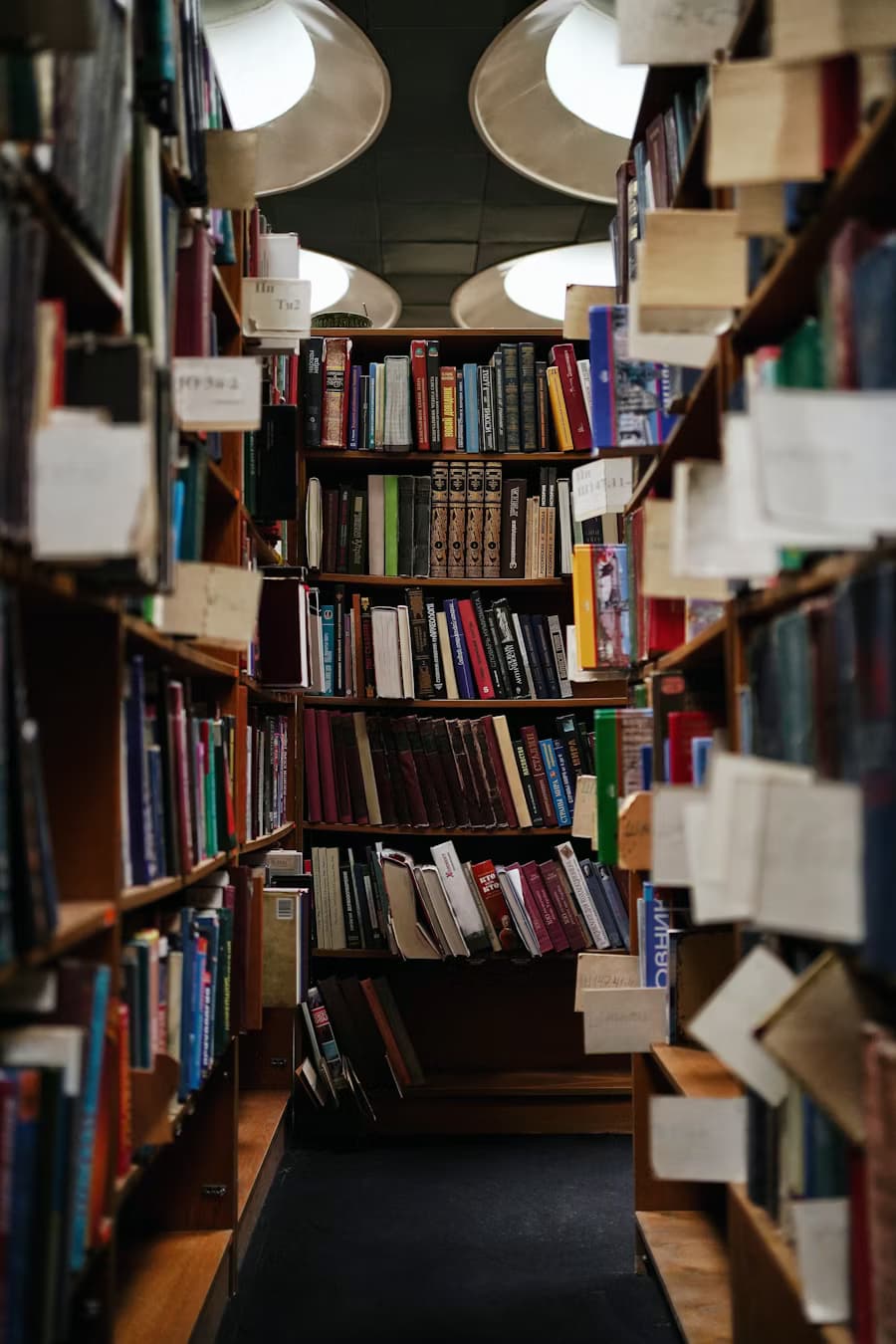 Visuel de l’événement Atelier “Reliure & réparation de livres”